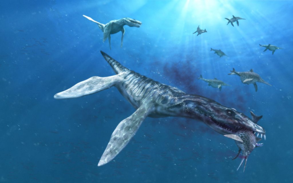 史上最強の海の恐竜 生物ランキングtop10 雑学ミステリー