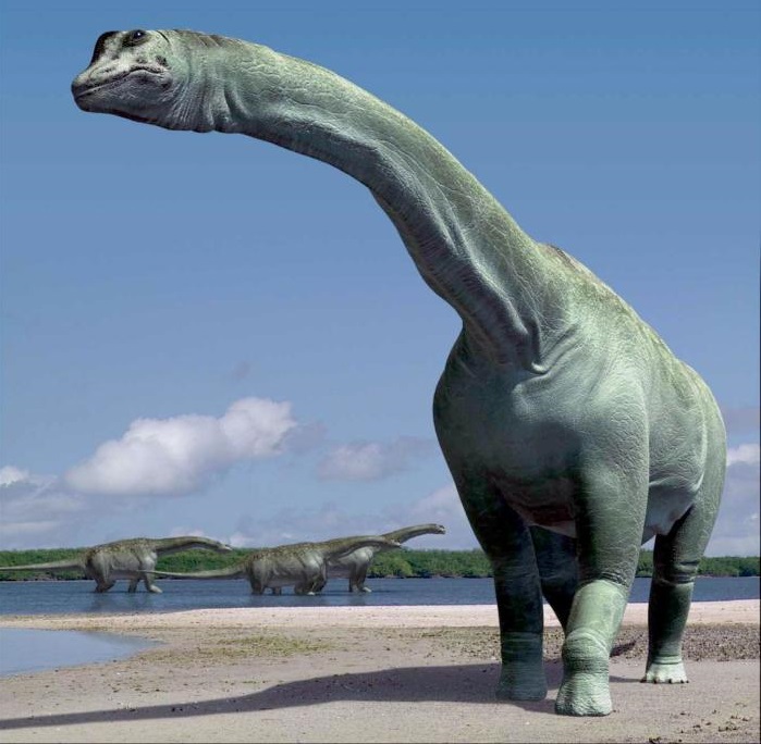 史上最大の超巨大恐竜ランキングtop10 雑学ミステリー